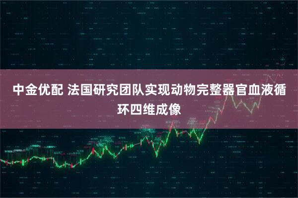 中金优配 法国研究团队实现动物完整器官血液循环四维成像